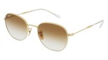 variant 18534 / Ray-Ban RB3809 / Gold