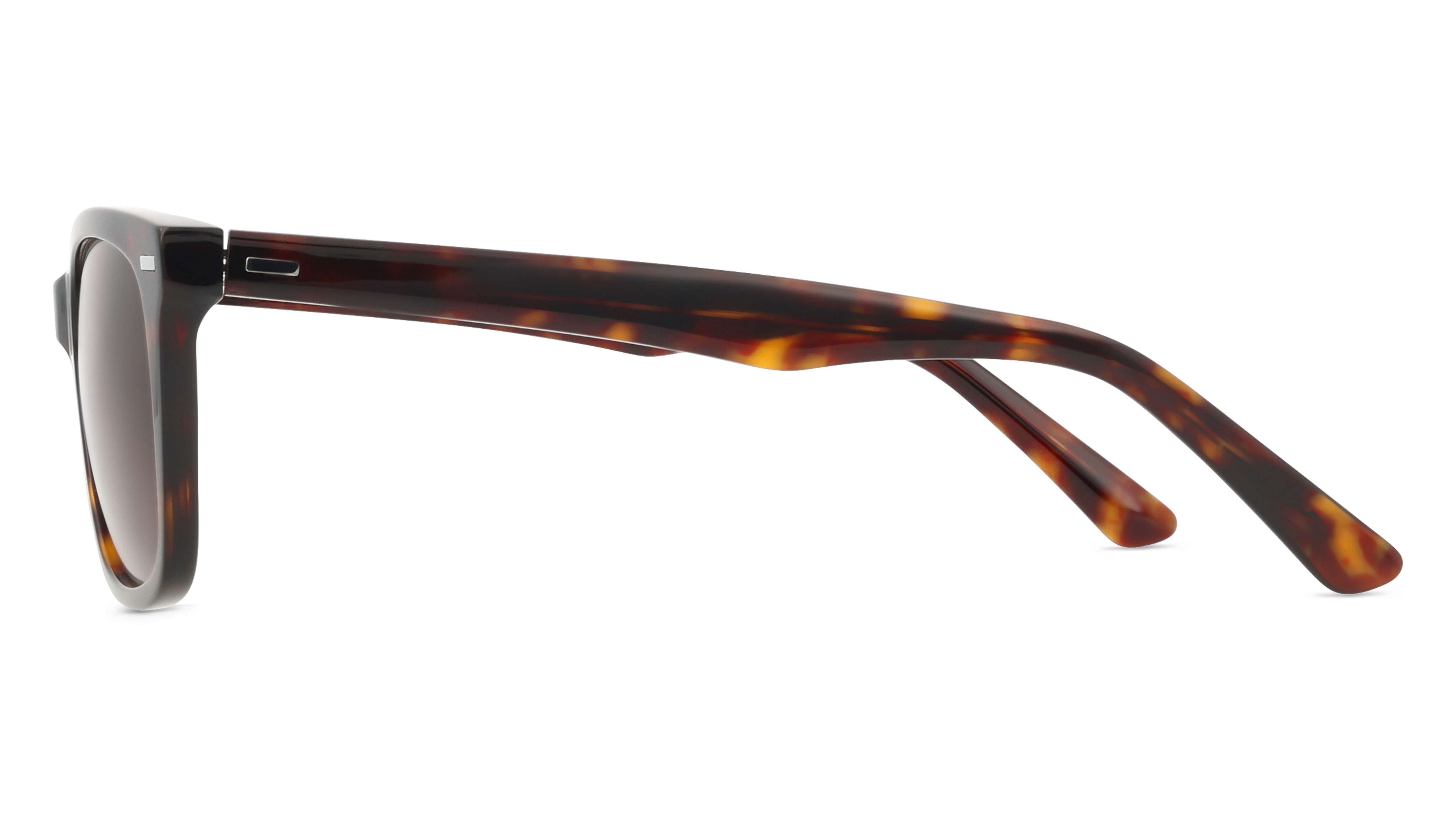 Fielmann SJ 002 SUN CL