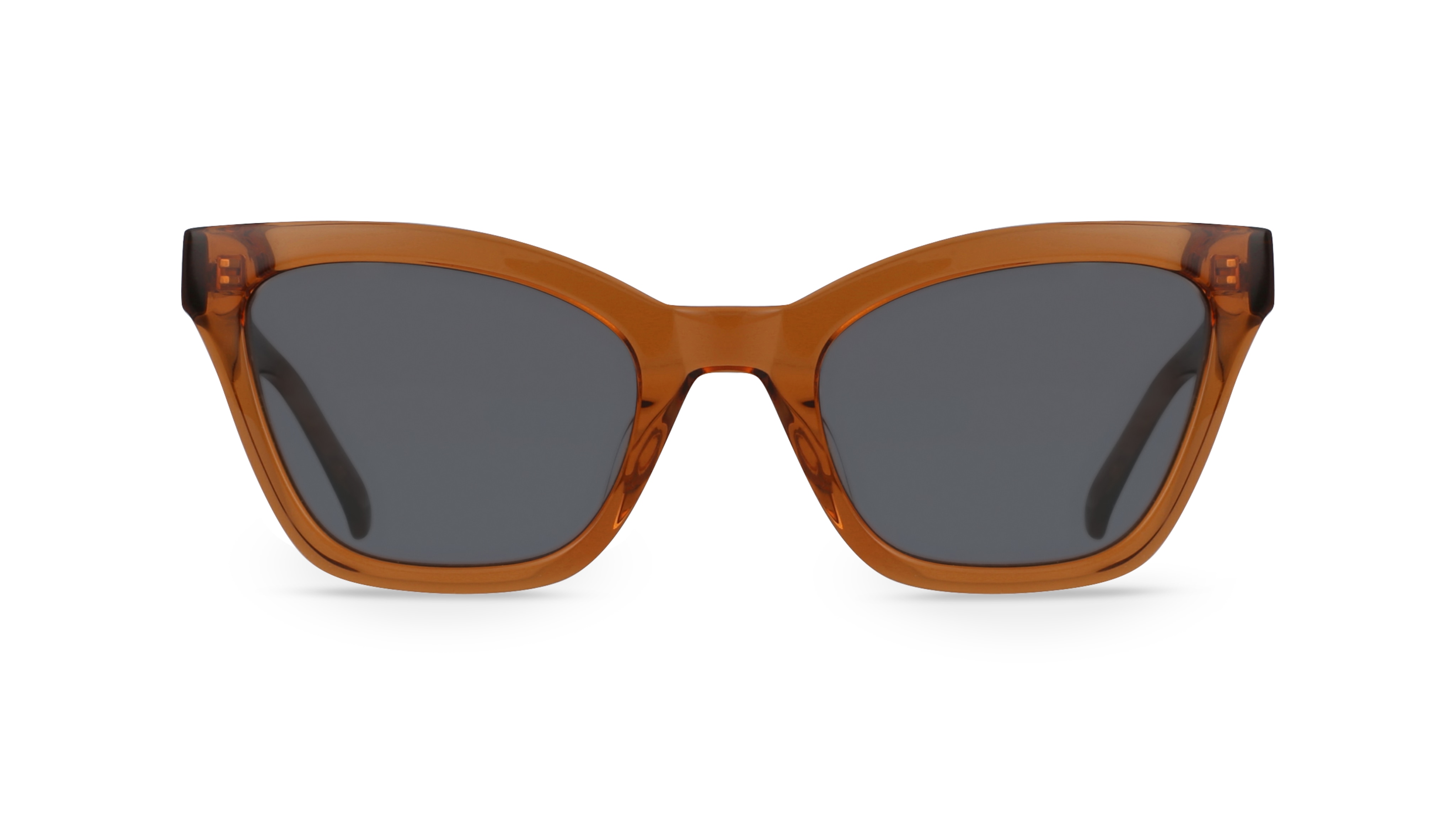 Fielmann MI 013 SUN FA/T