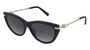 variant 33419 / Tiffany 0TF4253 / Nero Nero