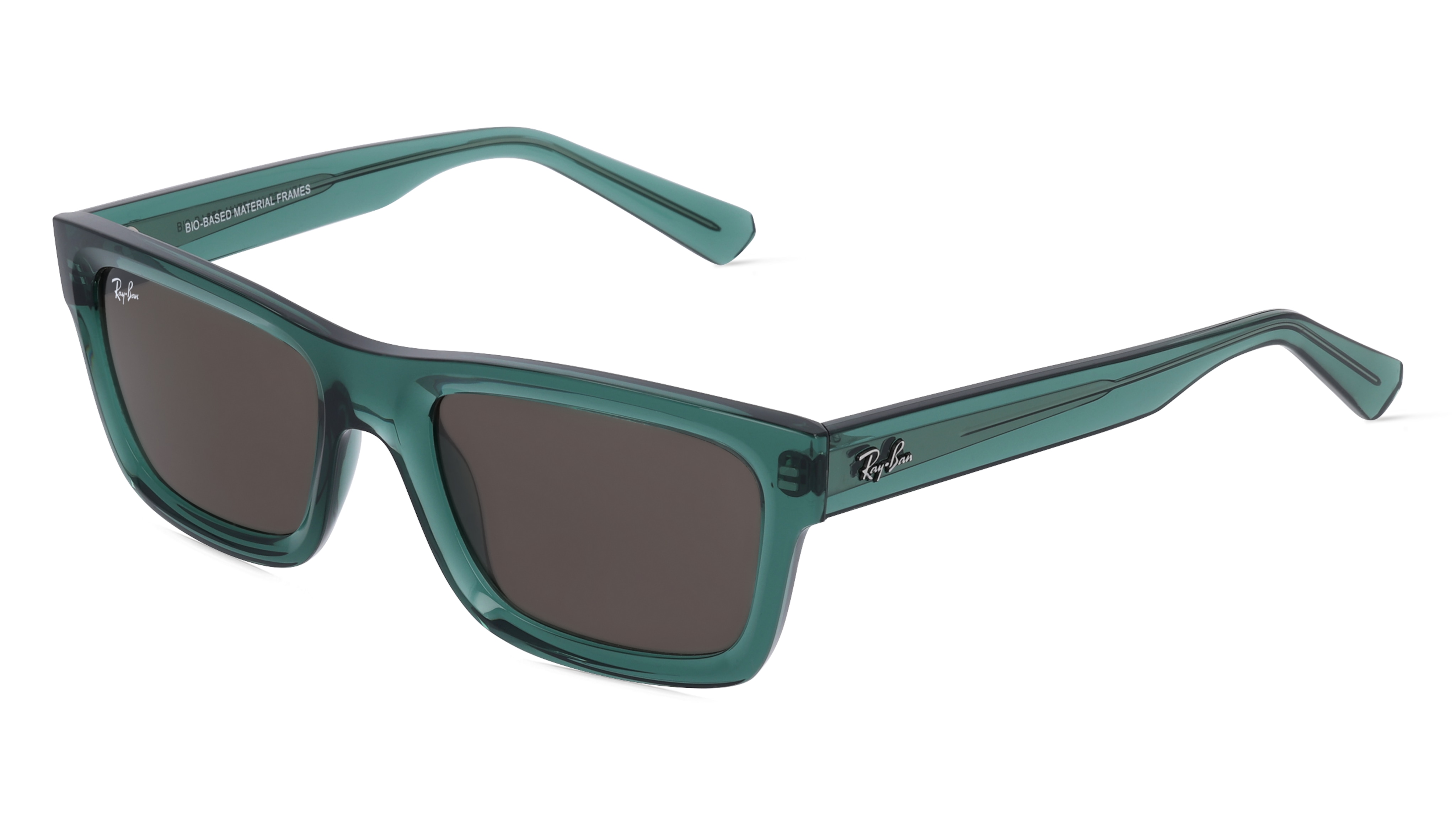 Ray-Ban RB4396 WARREN