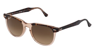 variant 11296 / Ray-Ban RB2398 / Havanna Braun