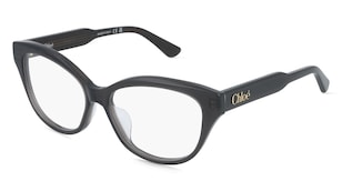 variant 31747 / Chloé CH0381OL / Grau