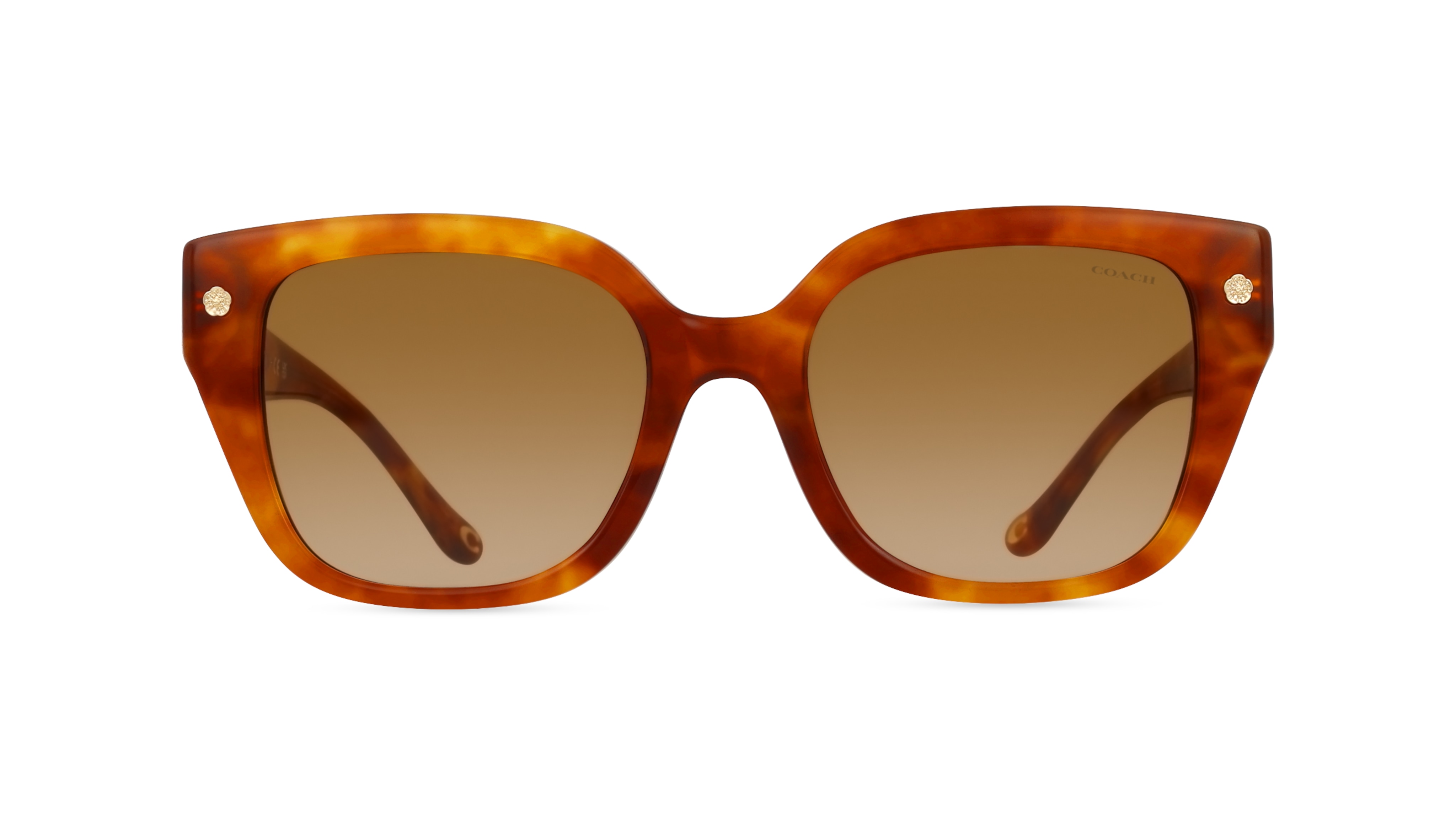 Coach 0HC8392U CR611