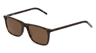 variant 7778 / Zeiss ZS22508SP / Hawana Ciemny