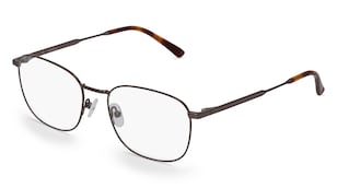 variant 2034 / Fielmann BE 003 CL / Ocelová