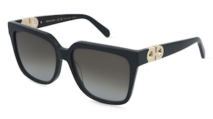 variant 31631 / Ferragamo SF2109S / Schwarz