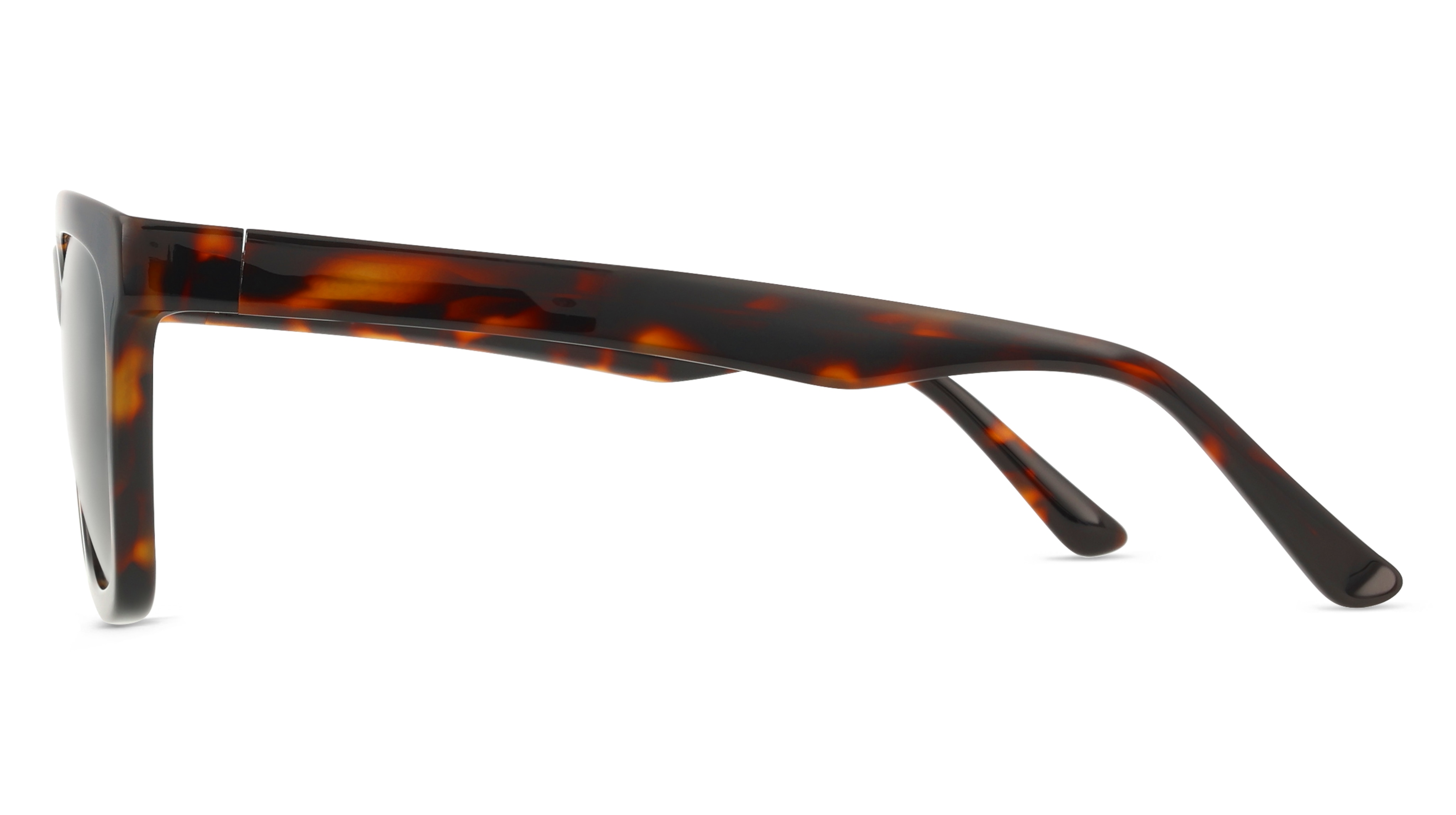 Fielmann BD 528 SUN CL ROBERT