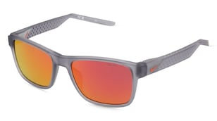 variant 22628 / Nike LIVEFREE CLASSIC EV24011 / Grau Matt