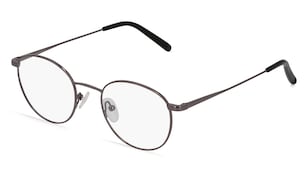 variant 2553 / Fielmann BD 425 CL / Gun