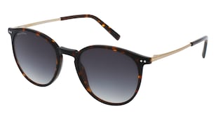 variant 27345 / Marc O'Polo Eyewear 506183 / Havanna Dunkel