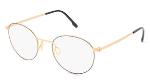 variant 24356 / Rodenstock R2662 / Oro