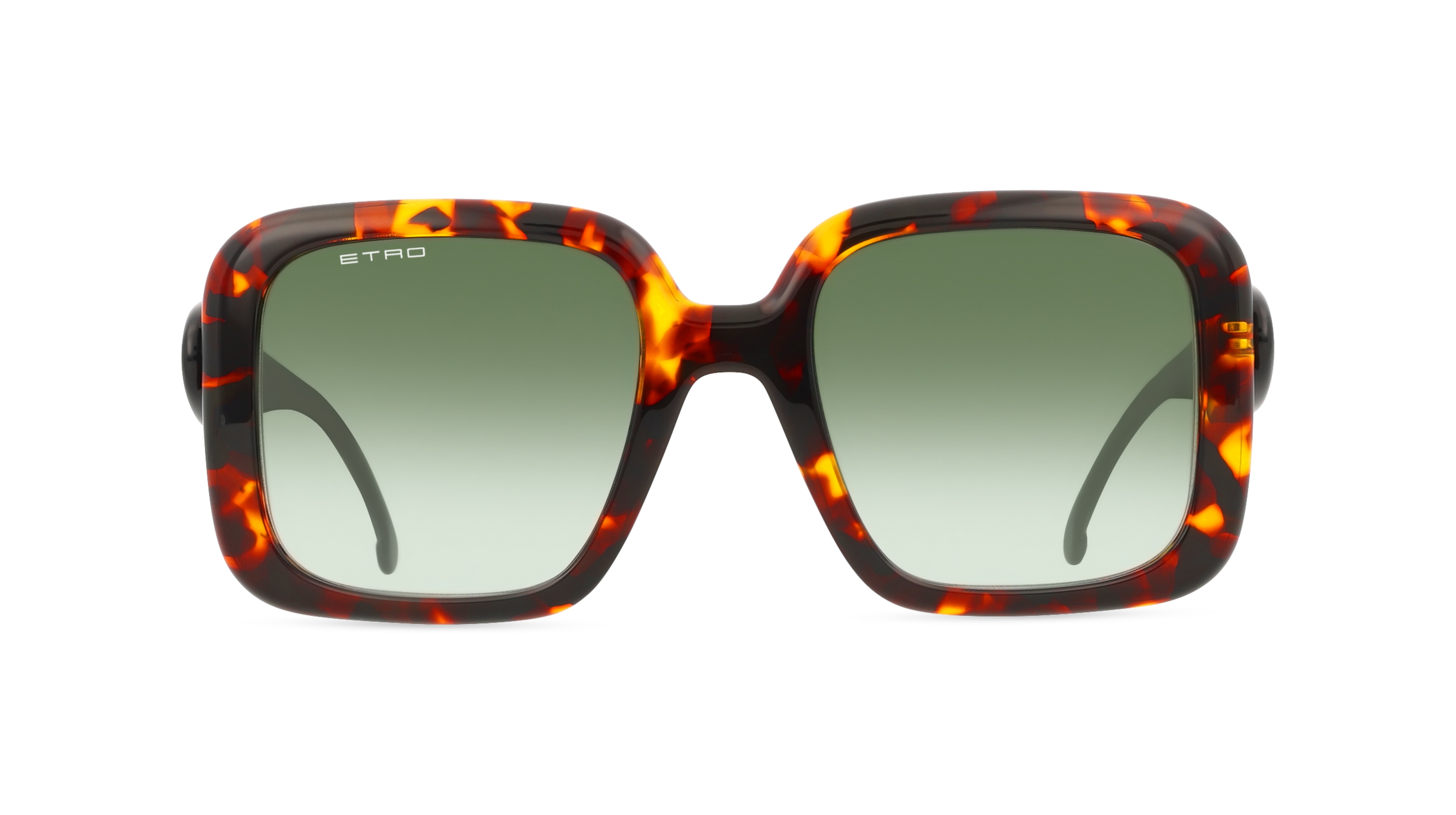 Etro 0083/S