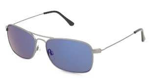 variant 3105 / Fielmann BD 313 SUN CL / Gun