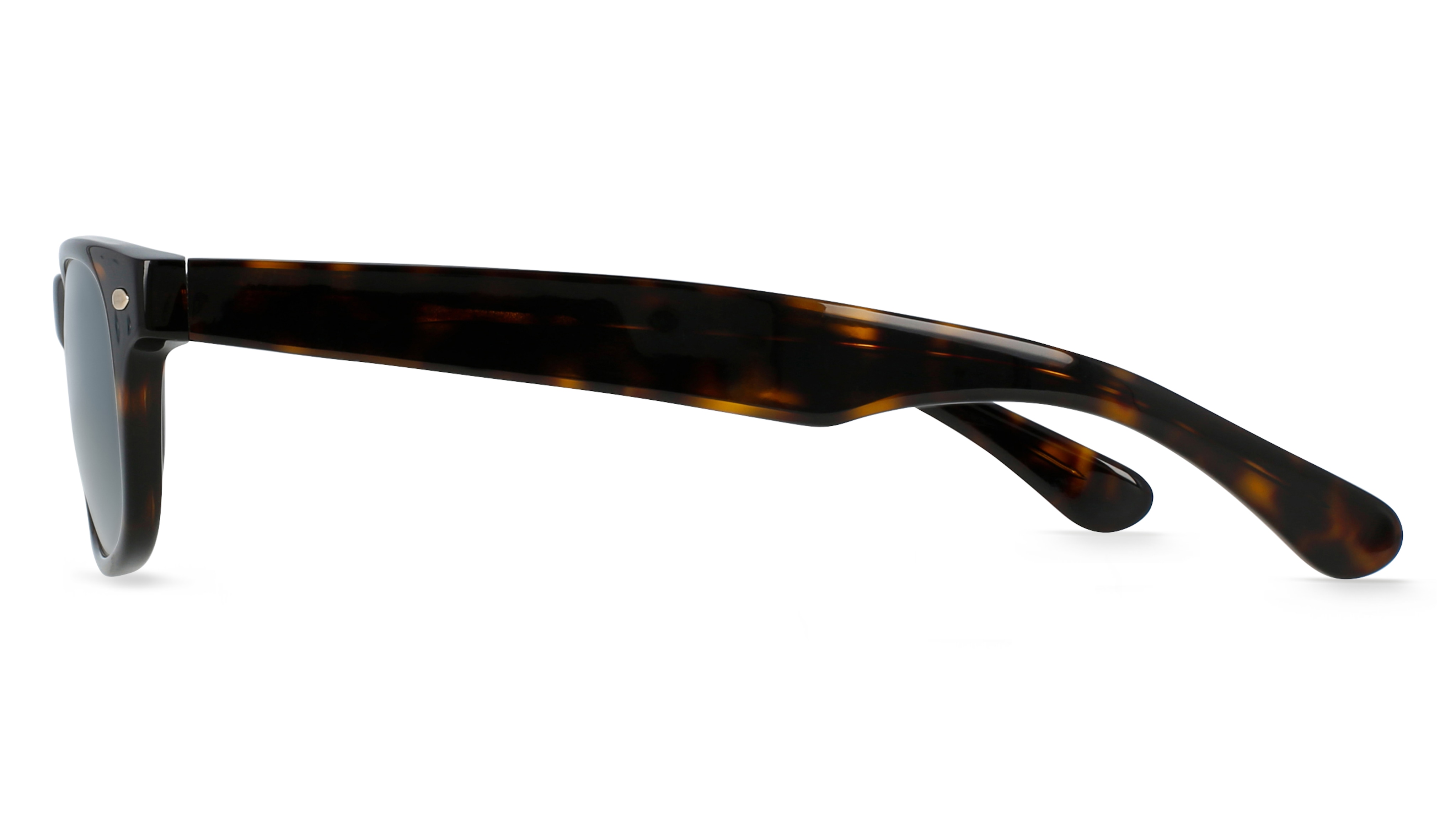 Fielmann OBRA 240 SUN