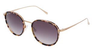 variant 33530 / Marc O’Polo Eyewear 508006 / Havana Bronzo