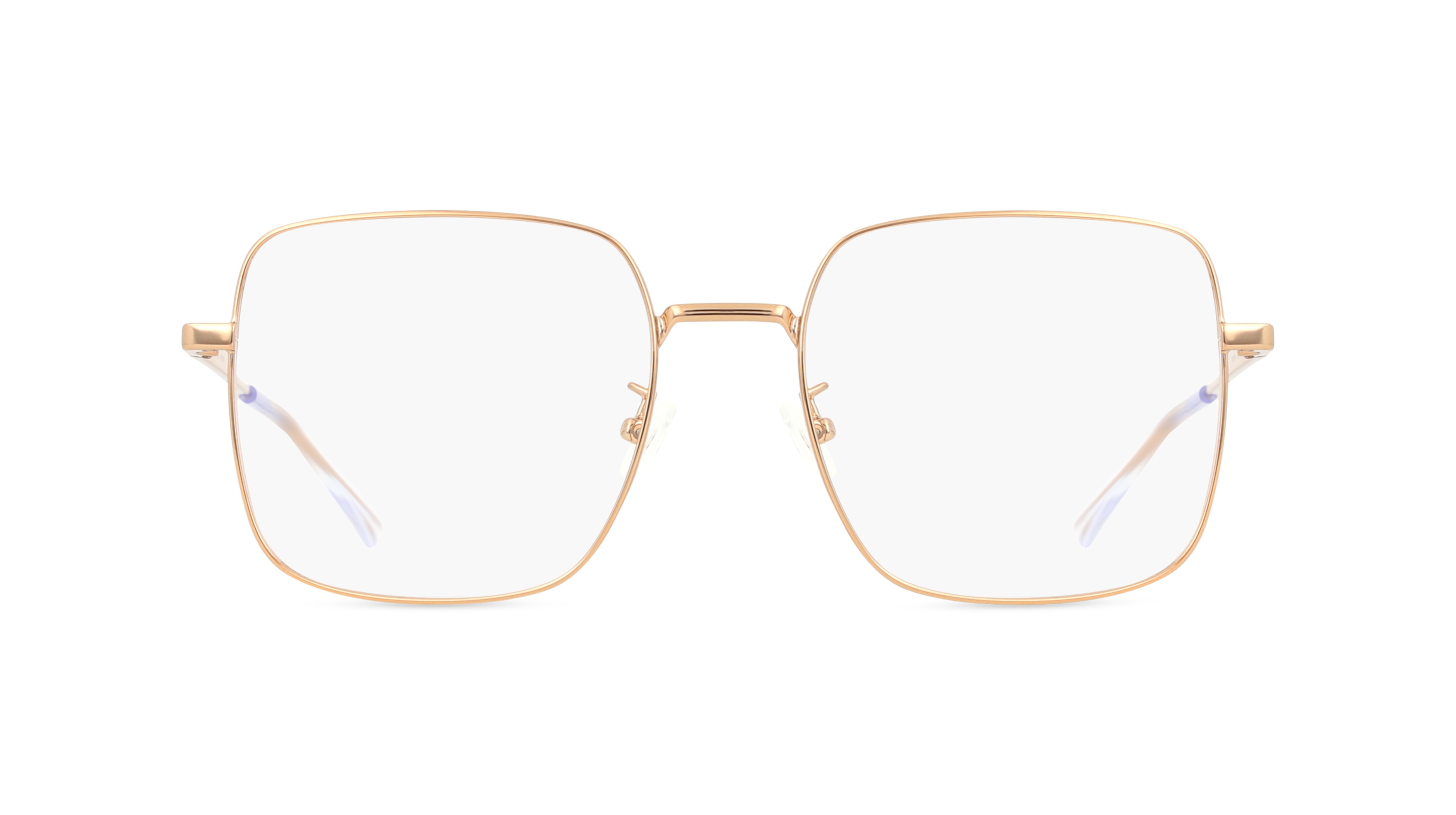 Bottega Veneta BV1110O