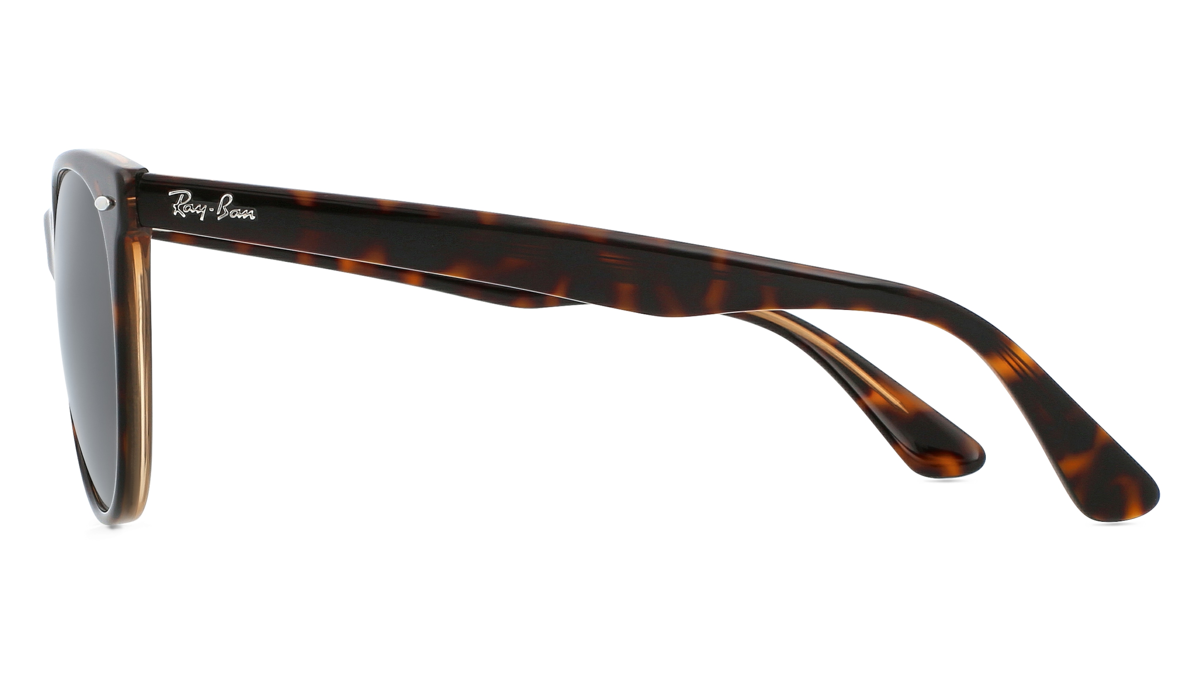 Ray Ban RB 2185 WAYFARER II in Havanna Grau online kaufen Fielmann