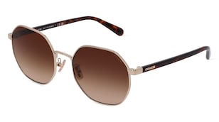 variant 11711 / Coach HC7147 / Gold Hell