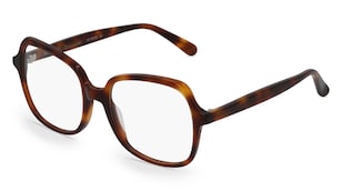 variant 1911 / Fielmann MF 042 FA / Havanna