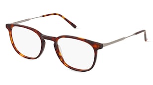 variant 2045 / Fielmann BE 008 FA / Havanna