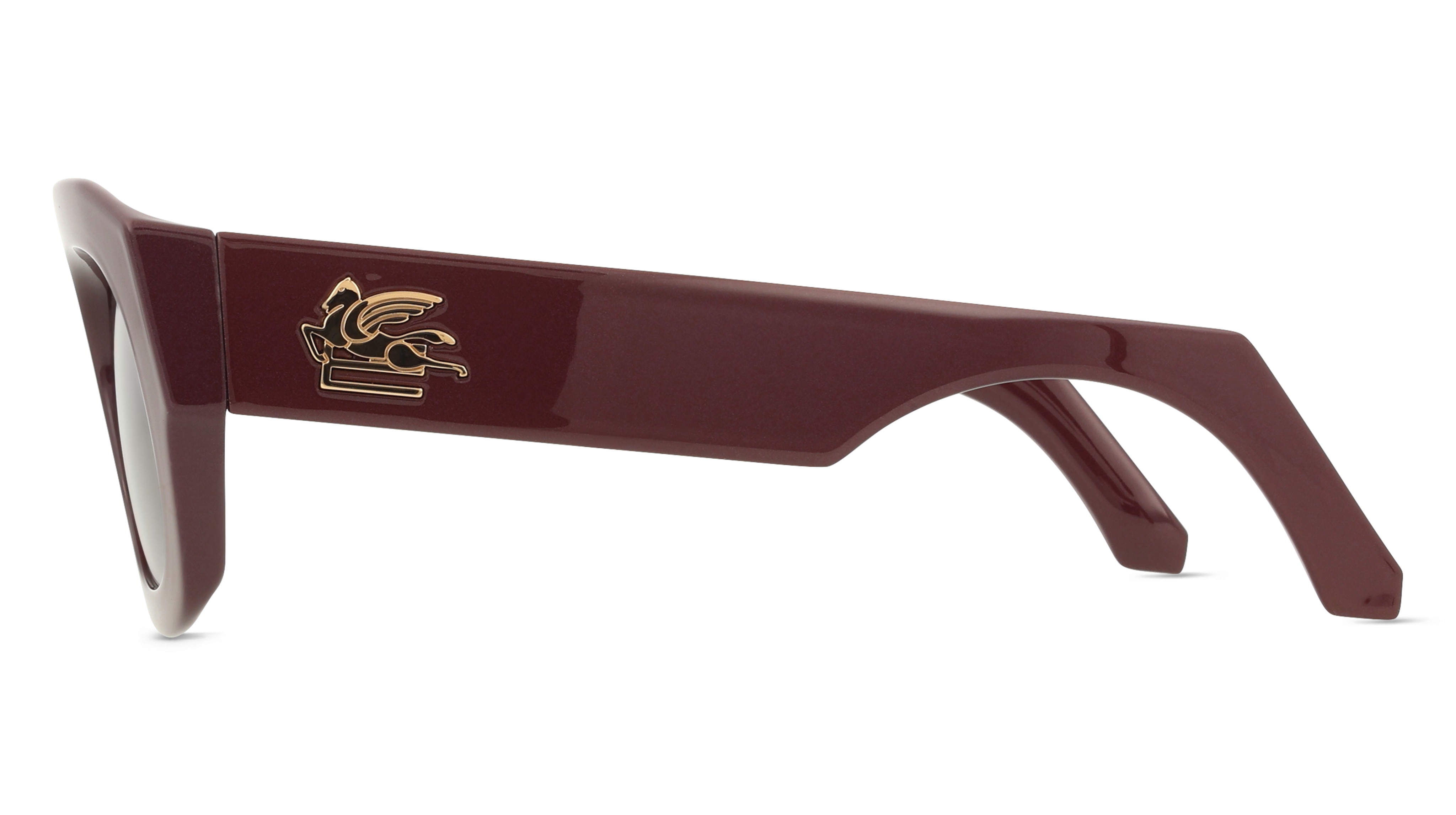 Etro 0079/S