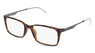 variant 24349 / Police POIVPLL62 / Hawana Ciemny