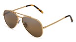 variant 6660 / Ray-Ban RB 3625 NEW AVIATOR / Gold