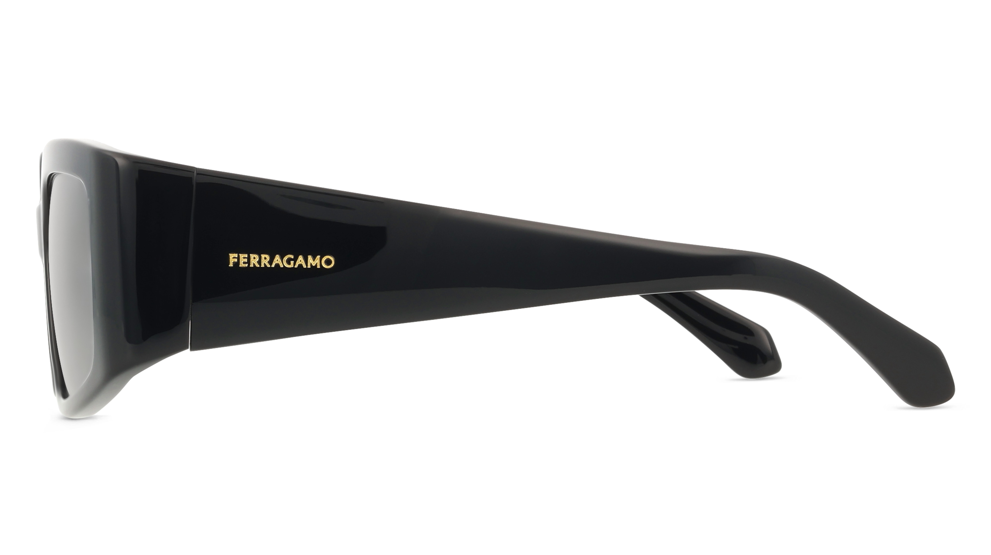 Ferragamo SF1101S