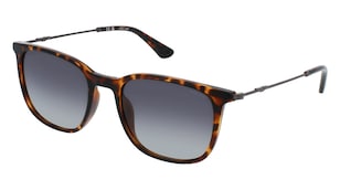 variant 18367 / Police SPLL77 / Havanna Dunkel