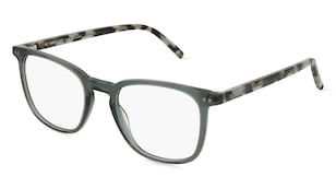 variant 25943 / Fielmann LN 050 CL FELIX / Grau Havanna