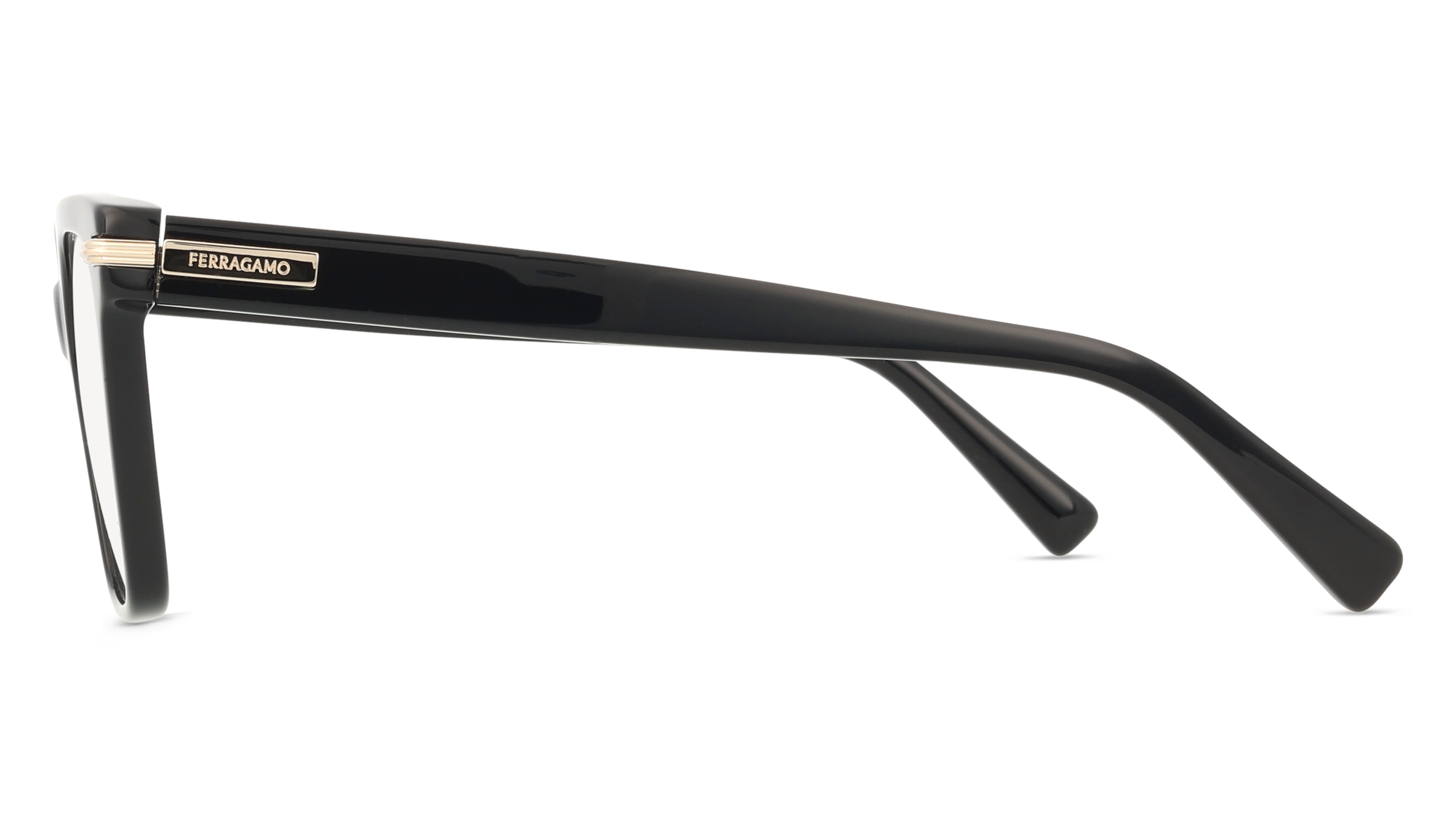 Ferragamo SF3009