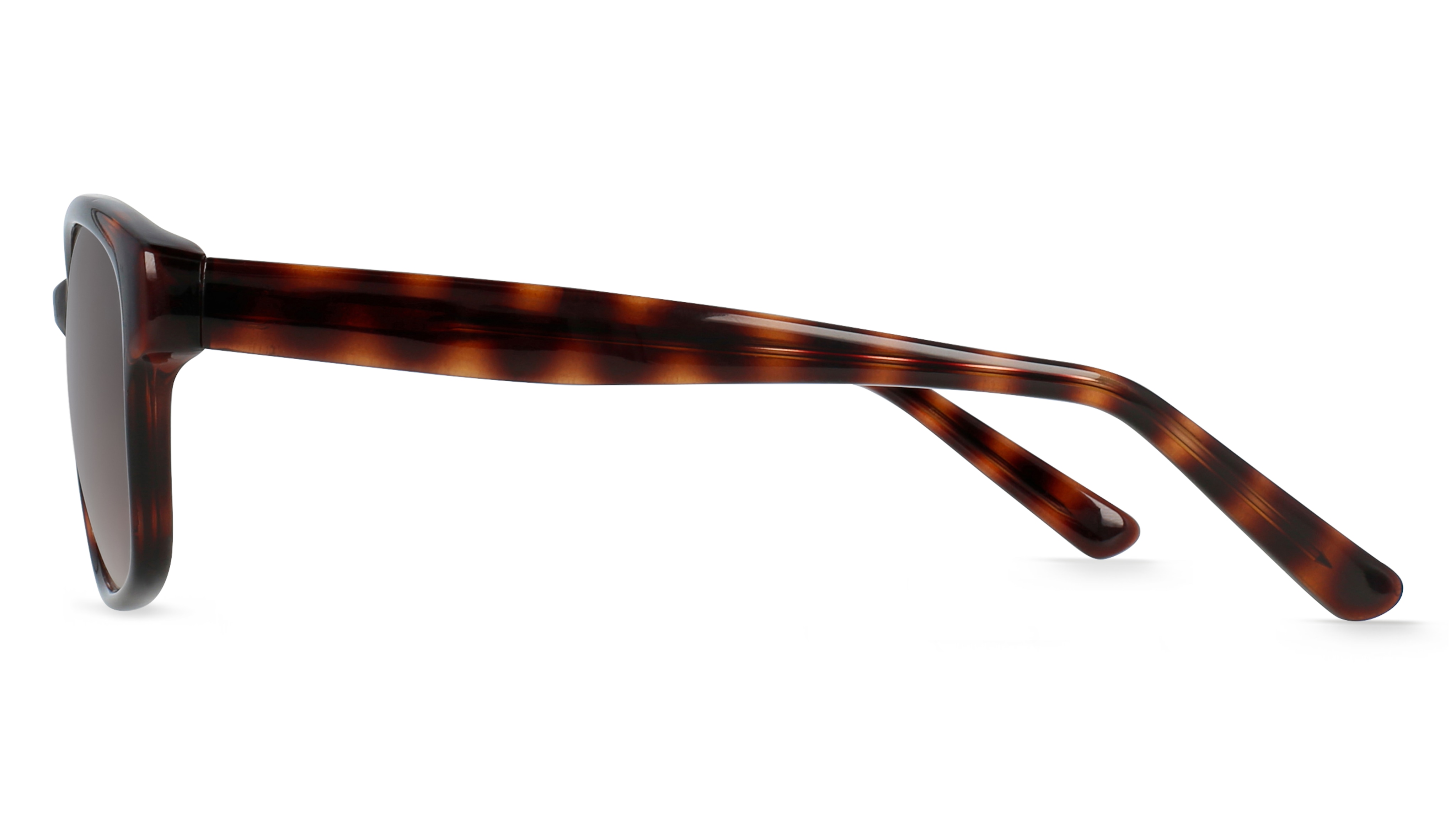 Fielmann INTER 2203 SUN FA