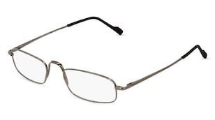 variant 2536 / Fielmann COMFORT 120 FLEX CL / Gun