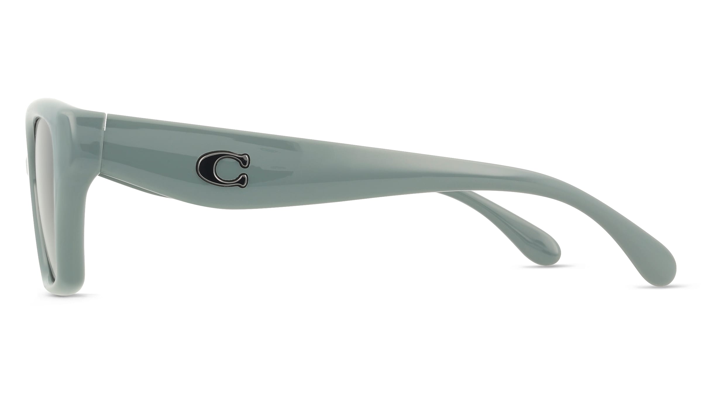 Coach 0HC8434U CBY91