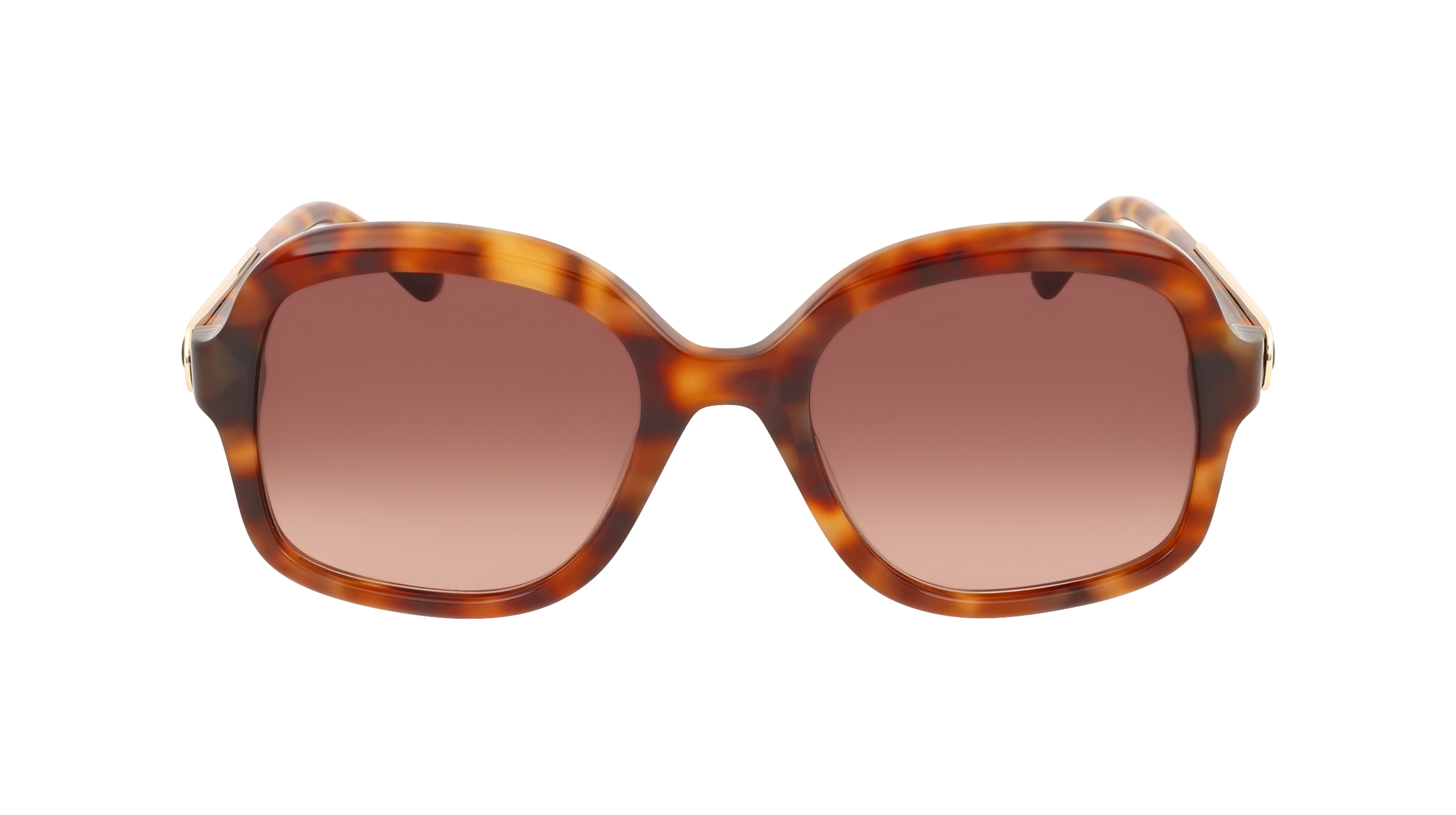Sandro SA6074