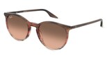 variant 18542 / Ray-Ban RB2204 / marrone rosso