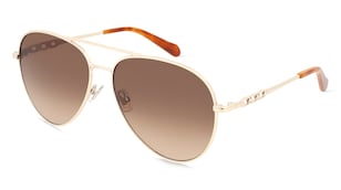 variant 27158 / Fossil 206654 / Oro Miele