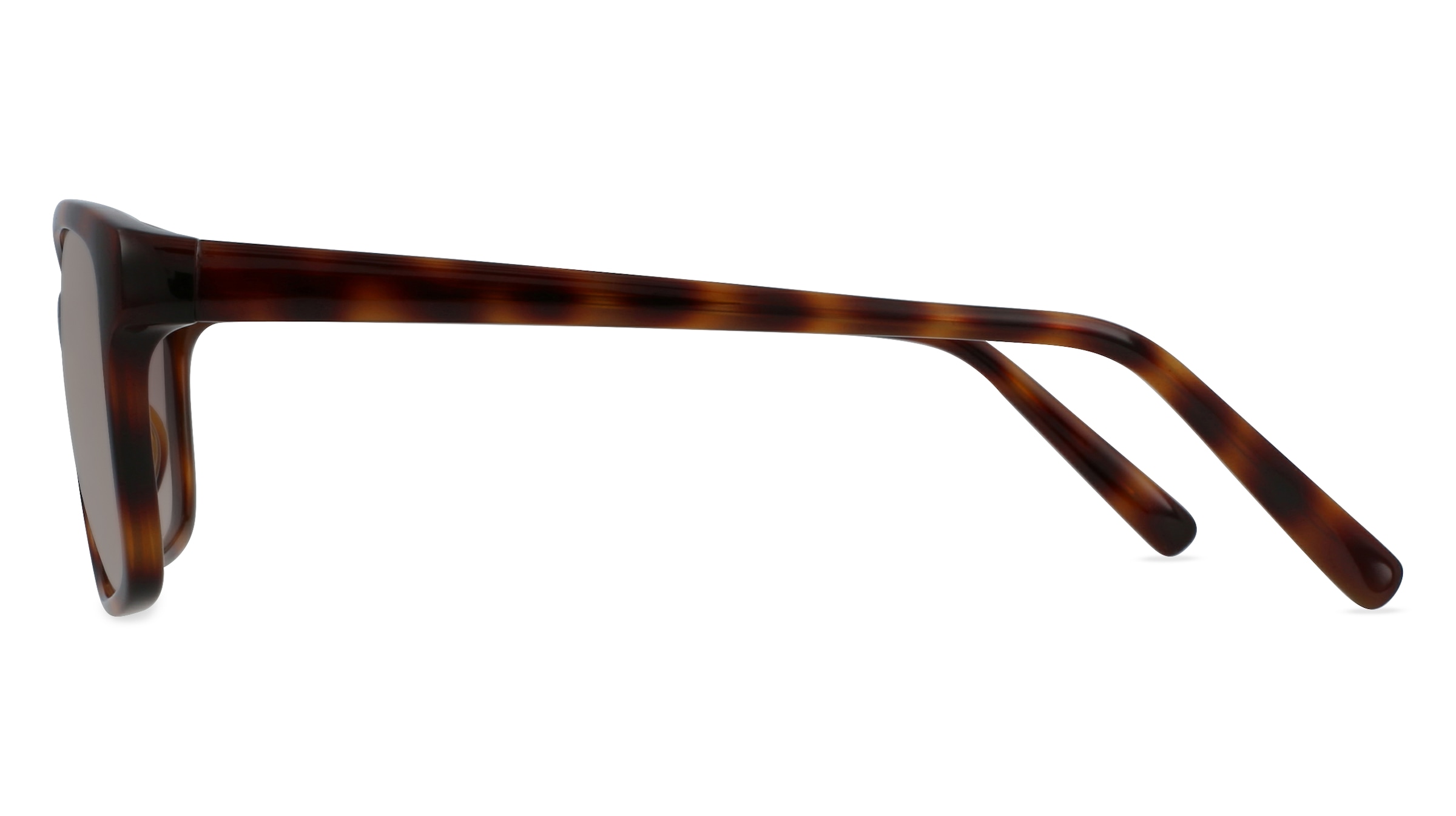 Fielmann INTER 2197 SUN FA