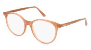 variant 25750 / Calvin Klein CK24543 / Marron Clair