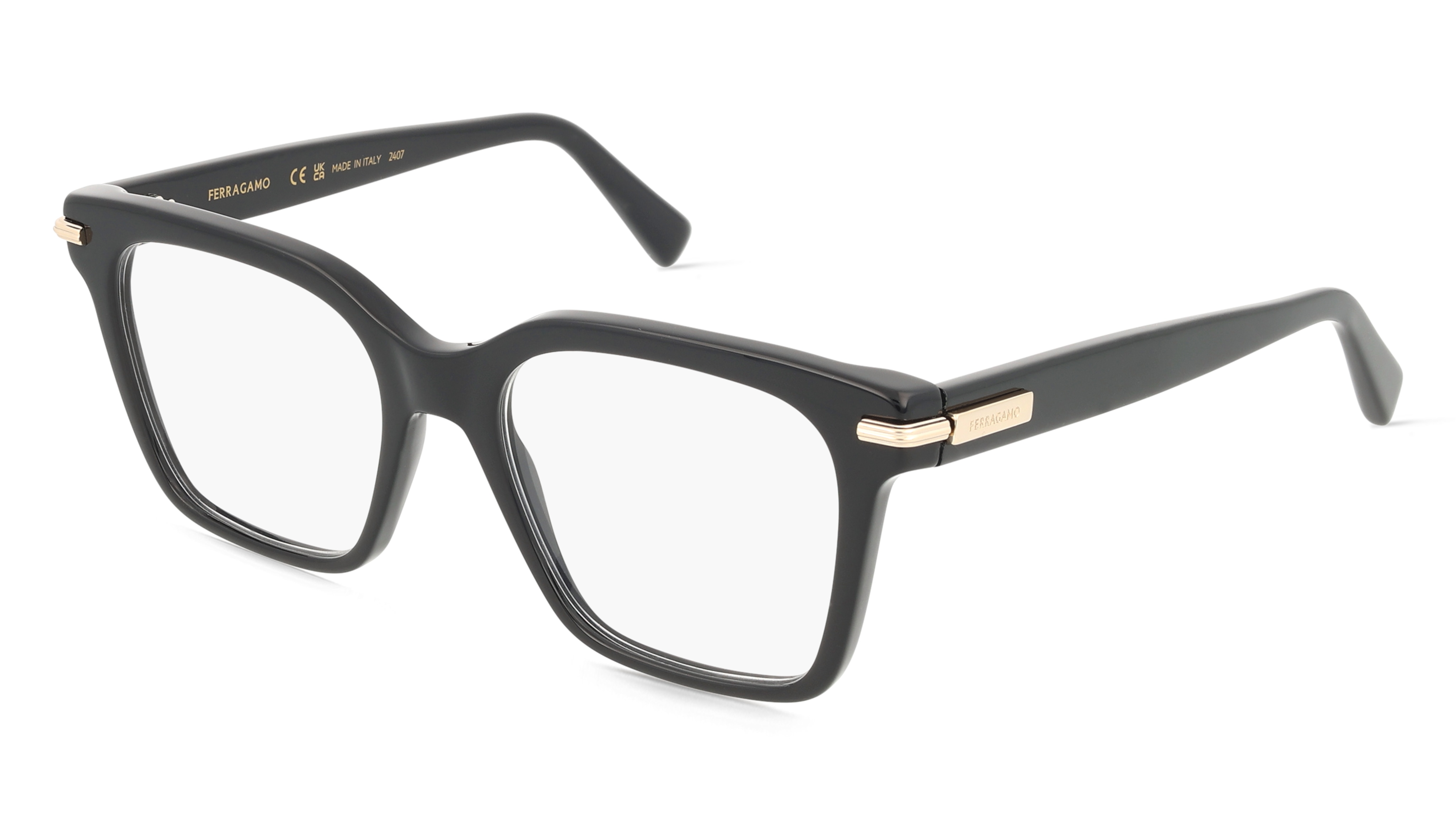 Ferragamo SF3009