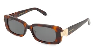 variant 27954 / Ferragamo SF1105S / Hawana