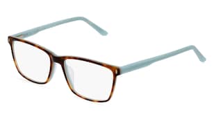 variant 2438 / Fielmann 2200 FLEX CL / Havanna Blau