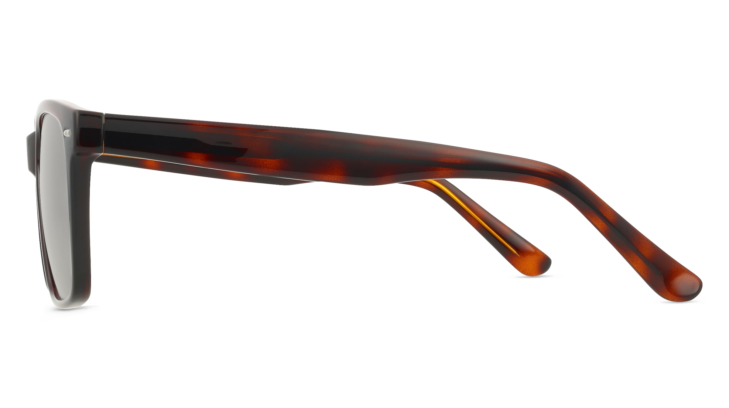 Fielmann MC 585 SUN CL WILHELM