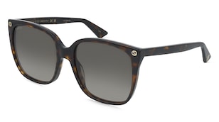 variant 31356 / Gucci GG0022S / Havanna