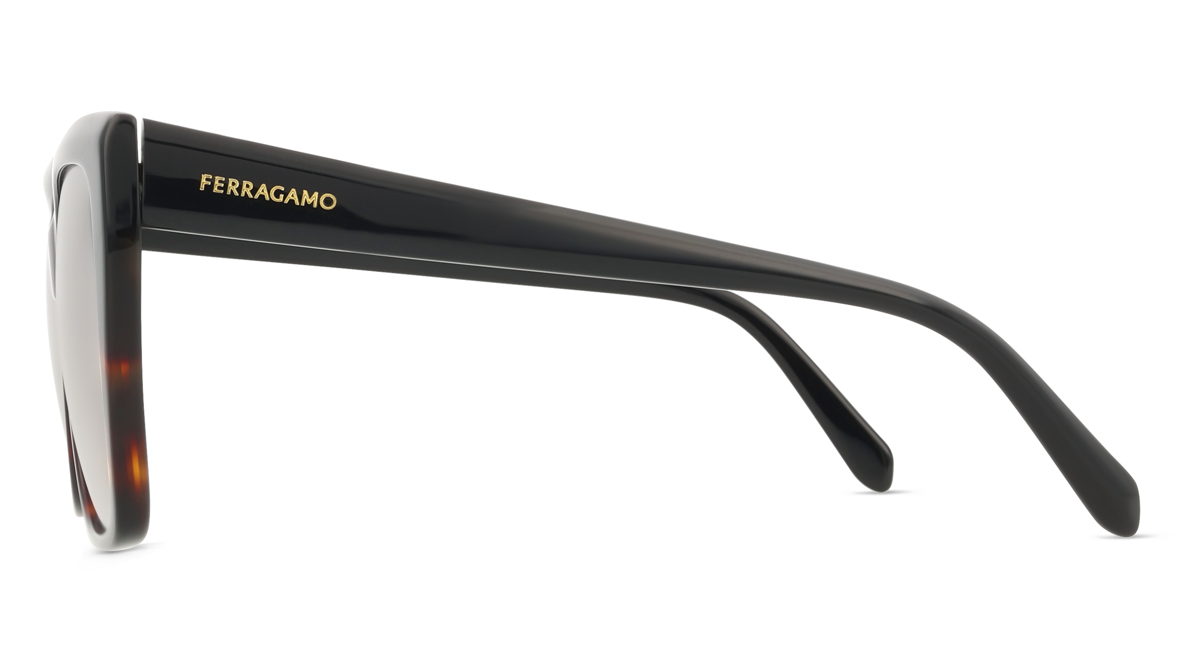 Ferragamo SF1102S