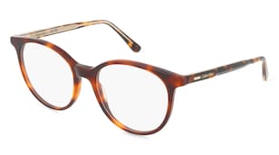 variant 25751 / Calvin Klein CK24543 / Havanna