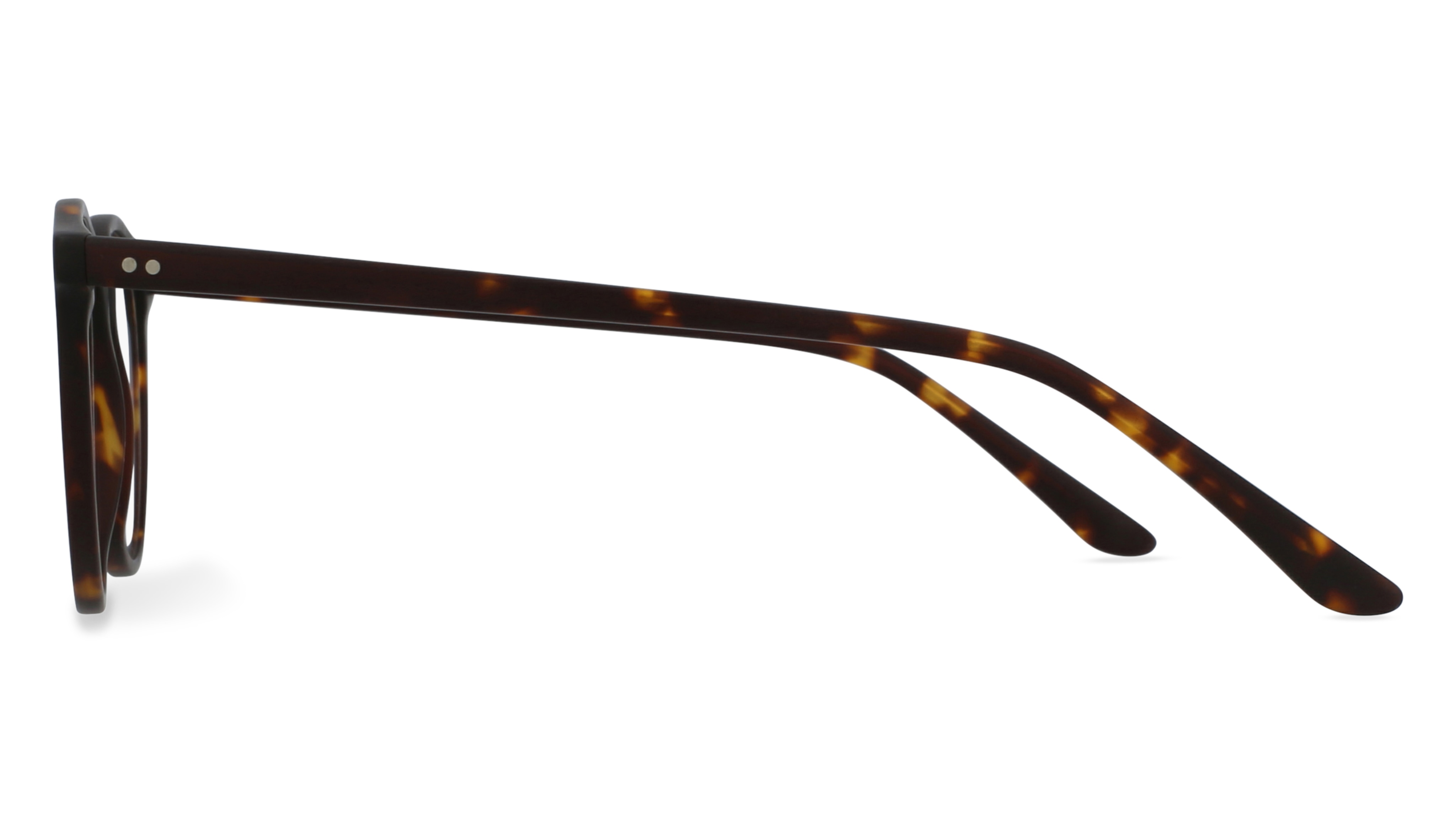 Fielmann IC 013 CL