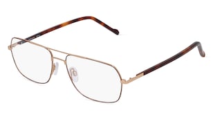 variant 11999 / Fielmann 2207 CL / Havanna Gold